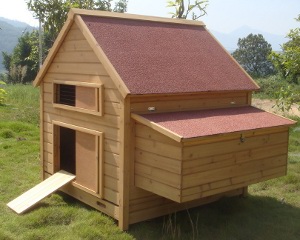 Kippenhok Sussex 11