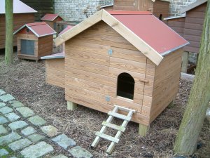 Kippenhok Sussex I in Stellac Wood