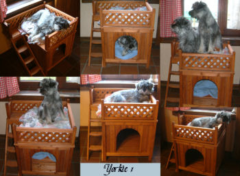 hondehok yorkie 1